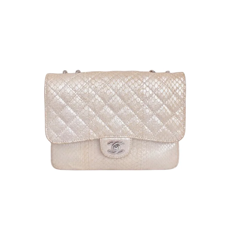 Chanel New Arrival Handbag with Gold Hardware3 Accordion Flap Python Leather Beige SHW